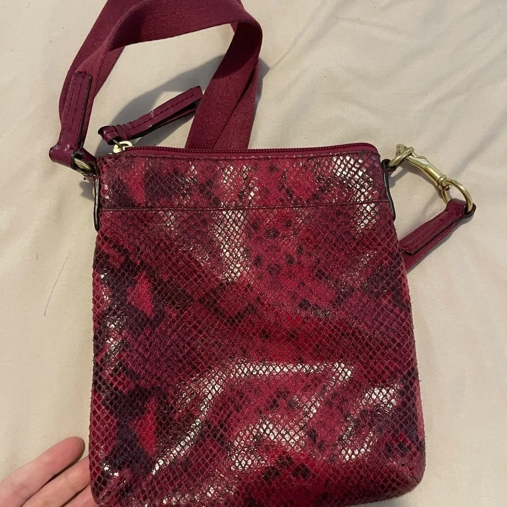 Coach Crossbody Snake Print Elegant Crossbody Bag 9x8